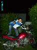 489 photo